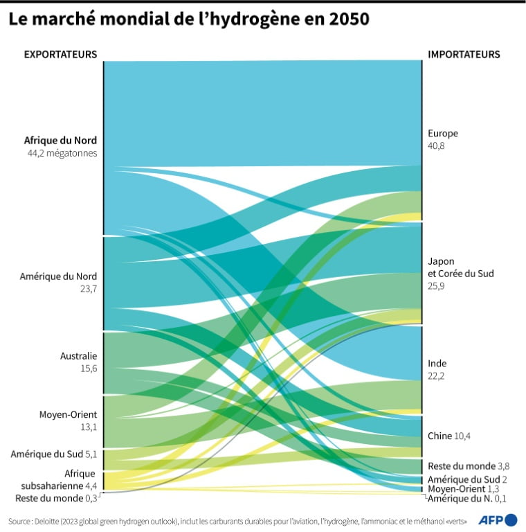 Le marché mondial de l'hydrogène en 2050 (AFP - Valentin RAKOVSKY, Sabrina BLANCHARD)